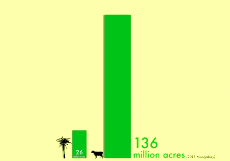 Deforestation caused by palm oil vs deforestation caused by the cattle industry, according to Cowspiracy